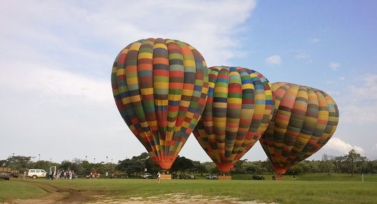 balloon safari